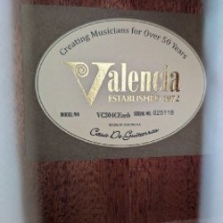 Гитара Valencia VC304CEasb - фото 2