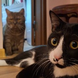 Стул из Jysk - фото 4