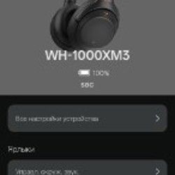 Наушники Sony WH-1000XM3 - фото 5