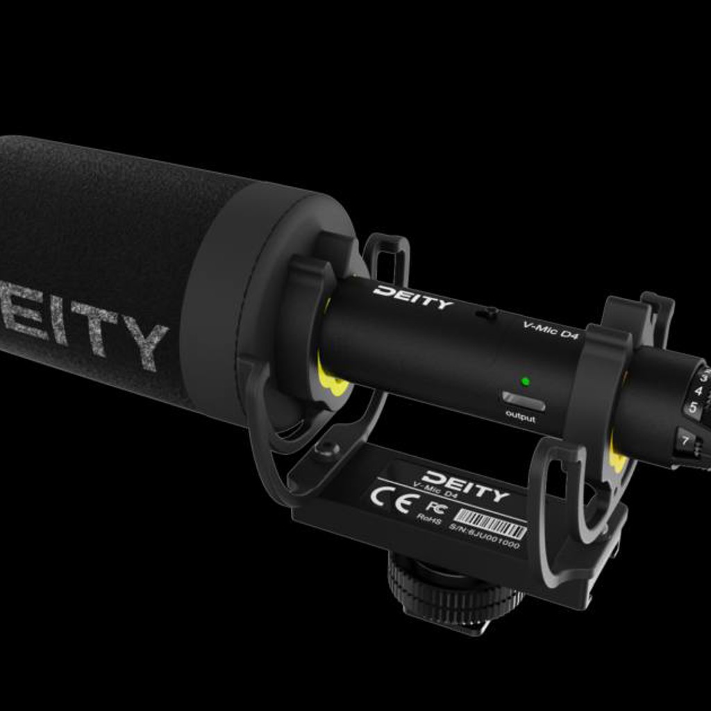 Deity V-Mic D4