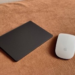 Magic Mouse - фото 2