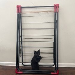 Молочная смесь - фото 2