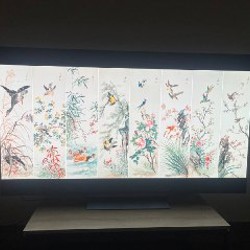 OLED телевизор LG C5 65' - фото 2