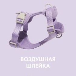 Анатомическая прогулочная шлейка для собак - фото 3
