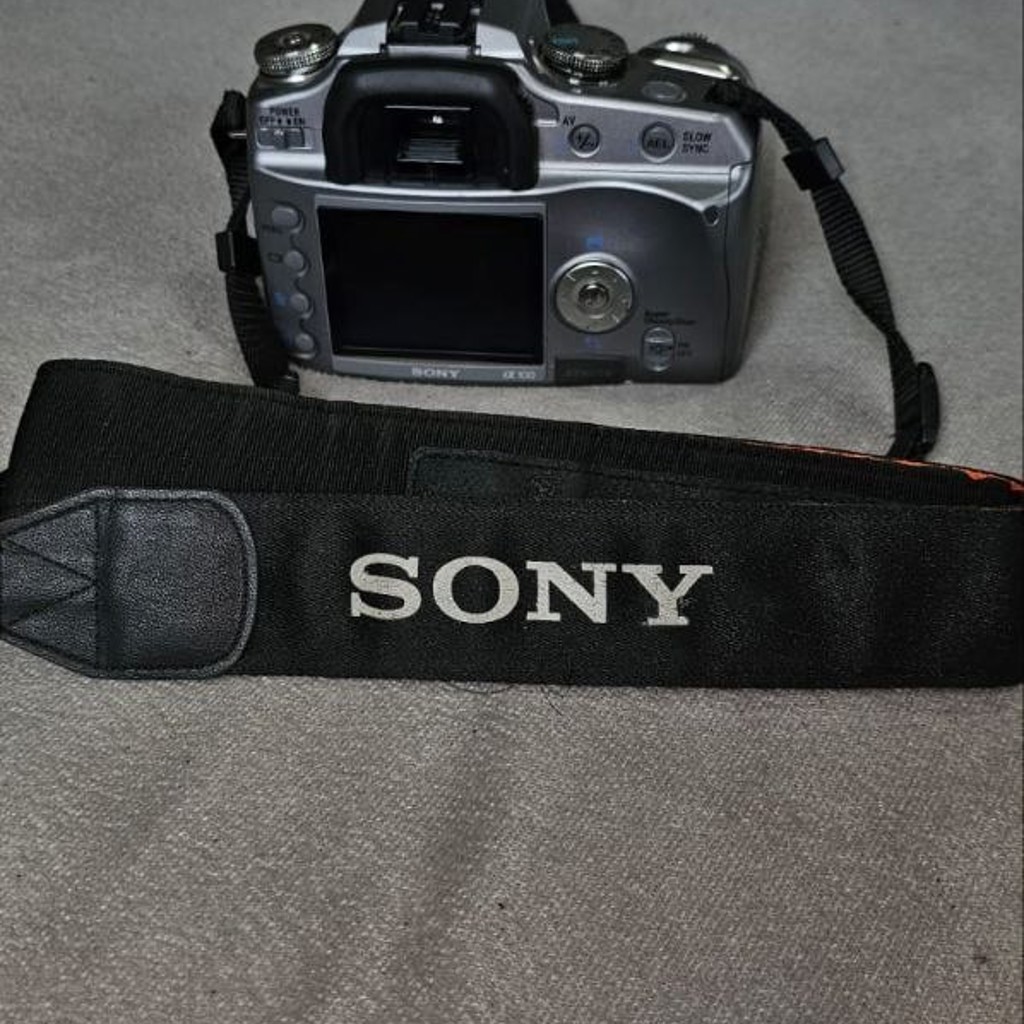 Sony A100