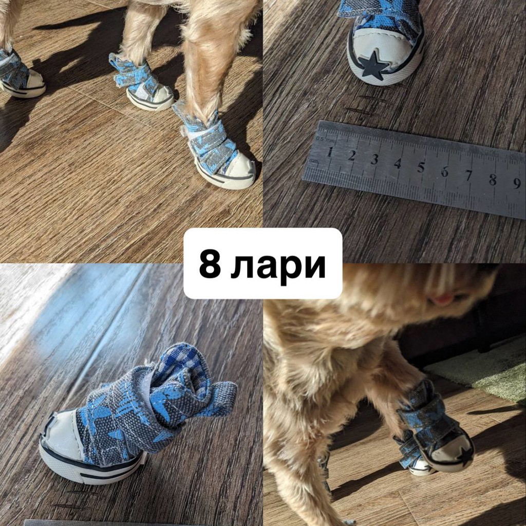 Обувь и носочки для собаки