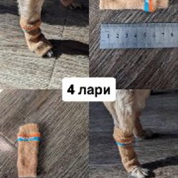 Обувь и носочки для собаки - фото 2