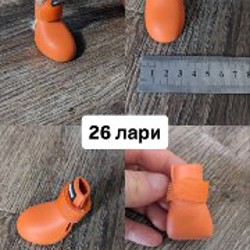 Обувь и носочки для собаки - фото 4