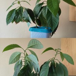 Настольные игры - фото 2