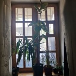 Фотоаппараты/камеры - фото 1