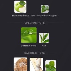 Духи Bjork&Berries Botanist - фото 2