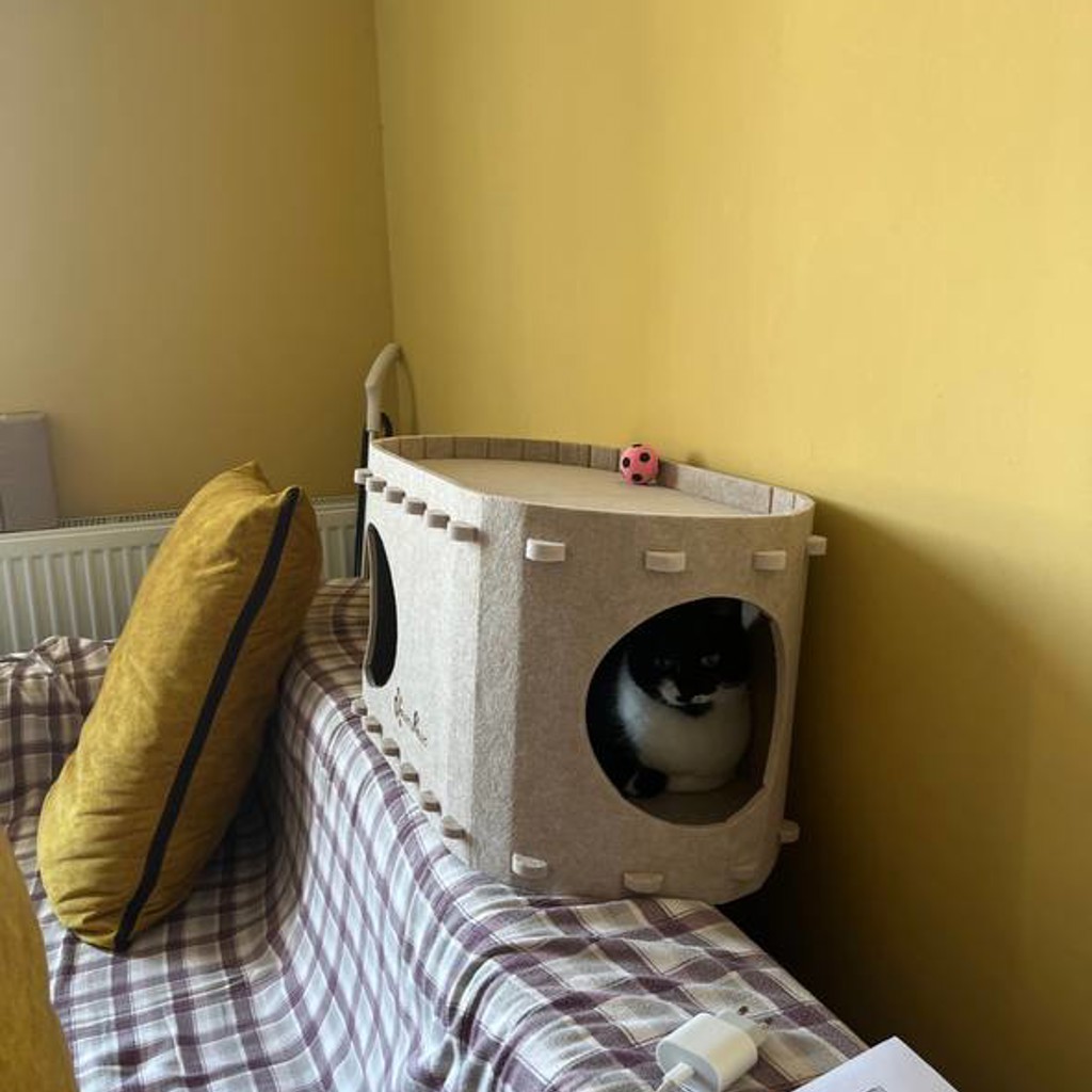 Кошачий домик