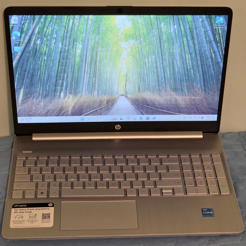 Ноутбук HP 15-dy5033dx