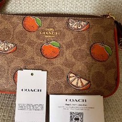 Сумка бренда Coach - фото 4