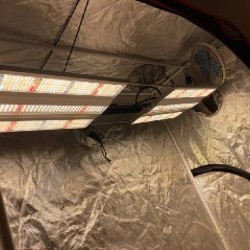 Mars Hydro LG-Led 100W - фото 4