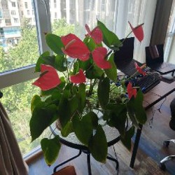 Подушки под спину и попу - фото 10