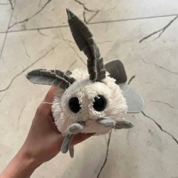 Luni 2.0 - фото 3