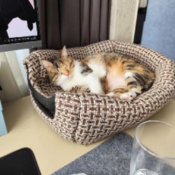 Рюкзак космонавта - фото 6