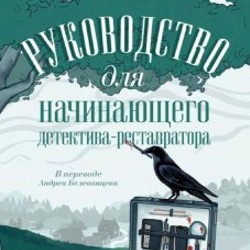 Руководство для начинающего детектива-реставратора - фото 10