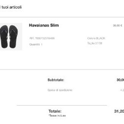 Вьетнамки Havaianas Slim - фото 4