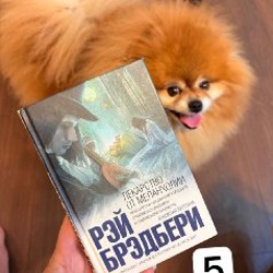 Искусство жить просто - фото 1