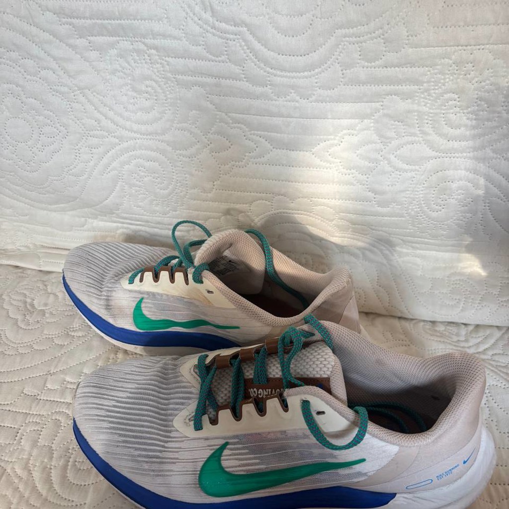 Nike Air Winflo 9 premium