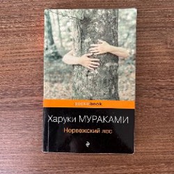 Норвежский лес - фото 2