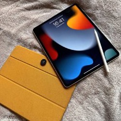 IPad Pro 12.9” (4-го поколения) - фото 2
