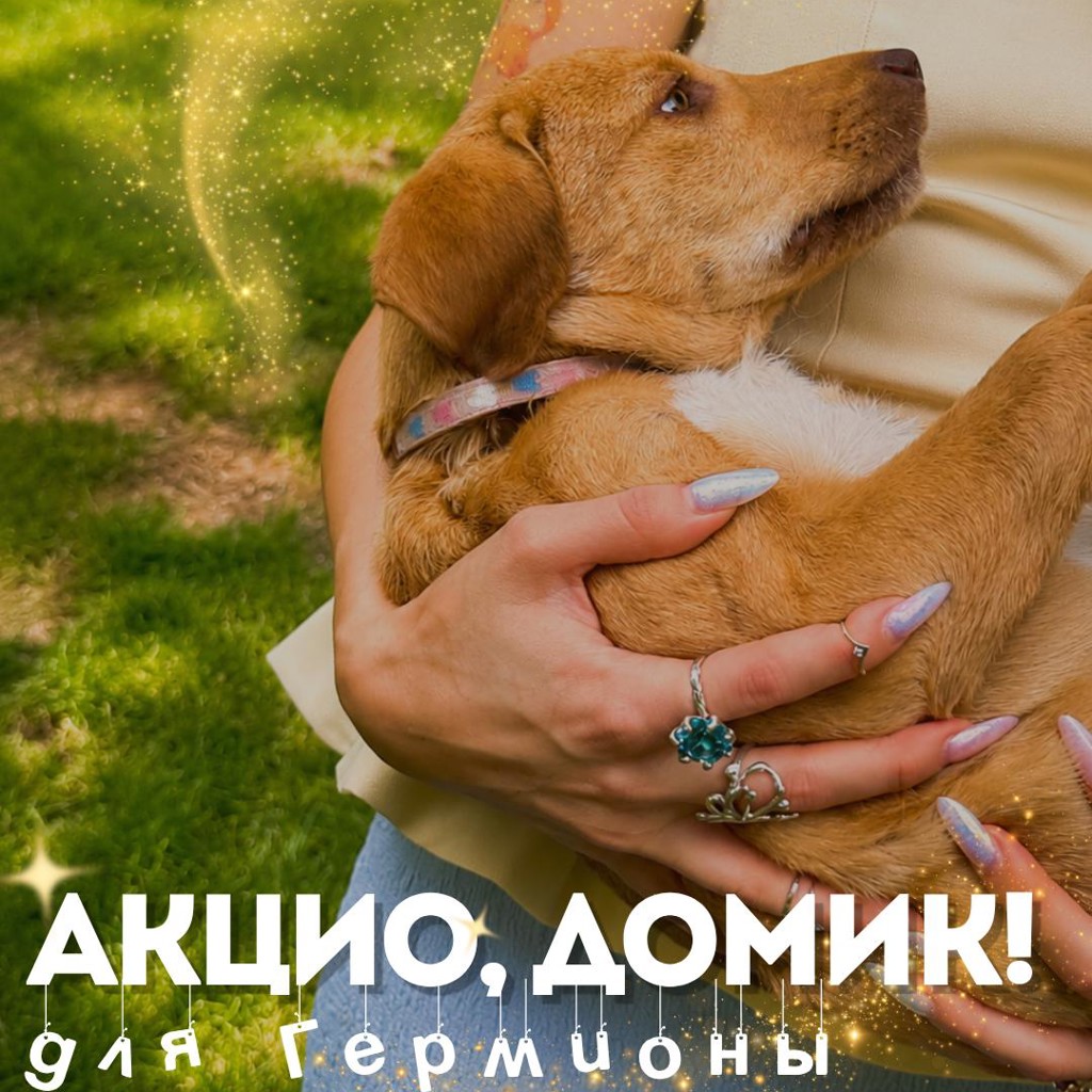 Гермиона