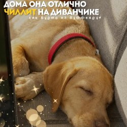 Гермиона - фото 3