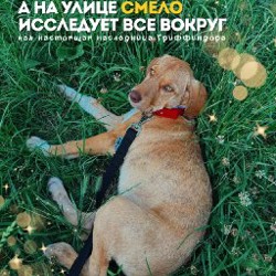 Гермиона - фото 4