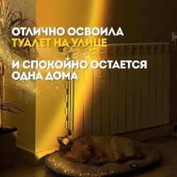 Гермиона - фото 5