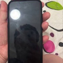 IPhone 14 Plus - фото 4