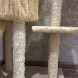 Многоуровневая кошачья когтеточка с домиком - фото 2