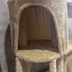 Многоуровневая кошачья когтеточка с домиком - фото 3