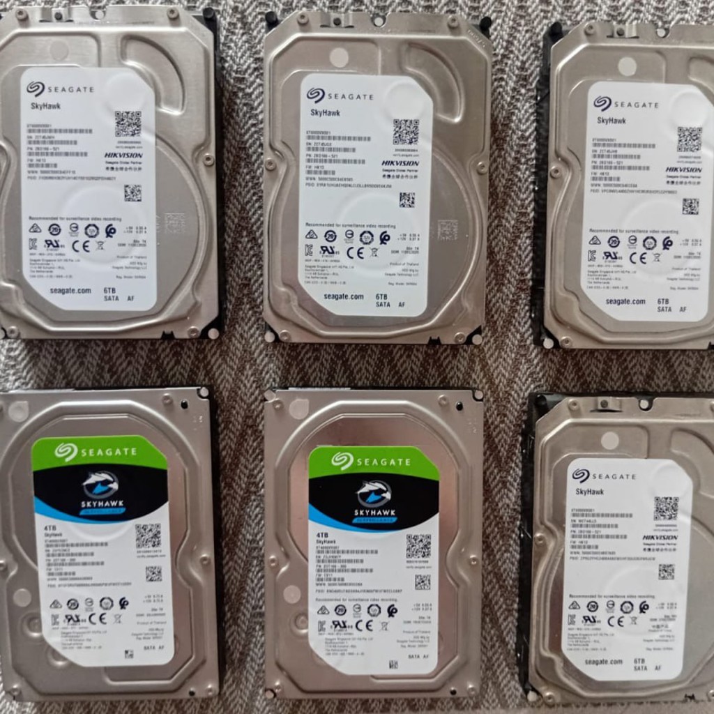 Seagate Skyhawk - 6TB