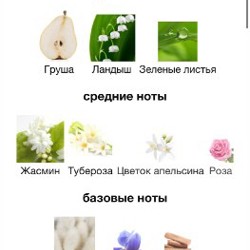 Парфюм Oscar de la Renta — Bella Blanca - фото 2