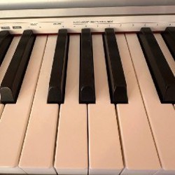 Цифровое пианино Casio PX-770 - фото 4