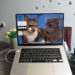 Apple MacBook Air - фото 4