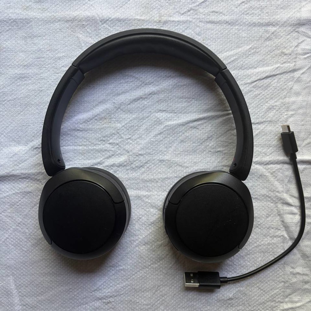 Наушники Sony WH-CH520