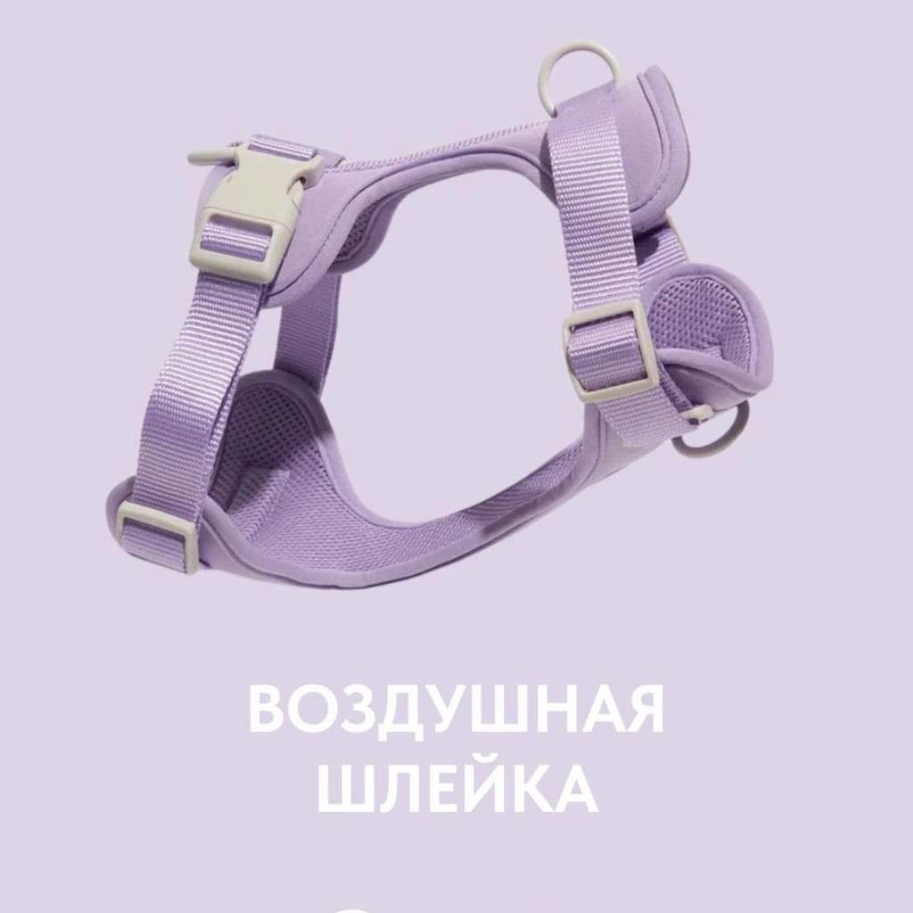 Анатомическая прогулочная шлейка для собак
