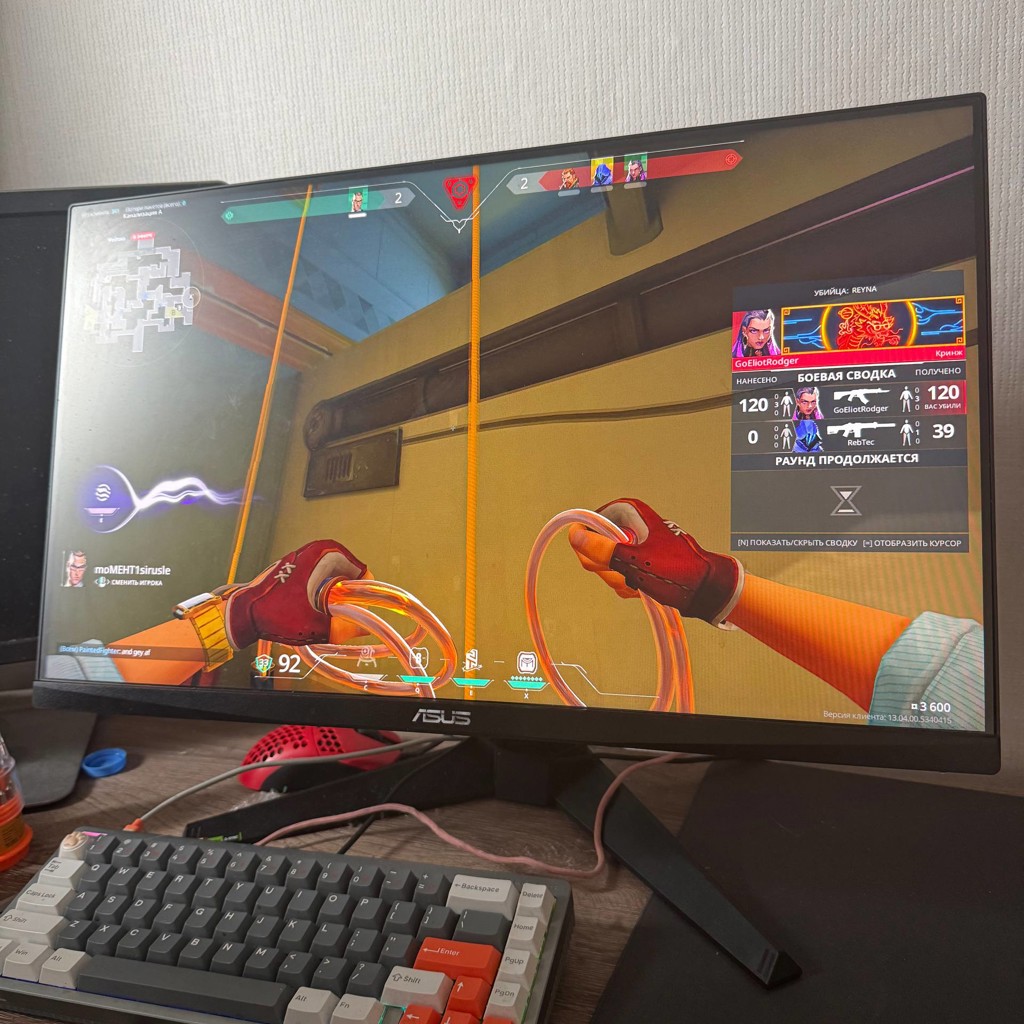 Монитор ASUS TUF GAMING