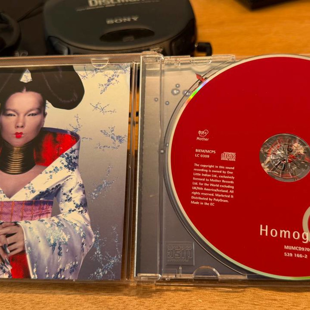 Bjork — Homogenic