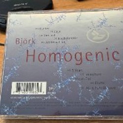 Bjork — Homogenic - фото 3