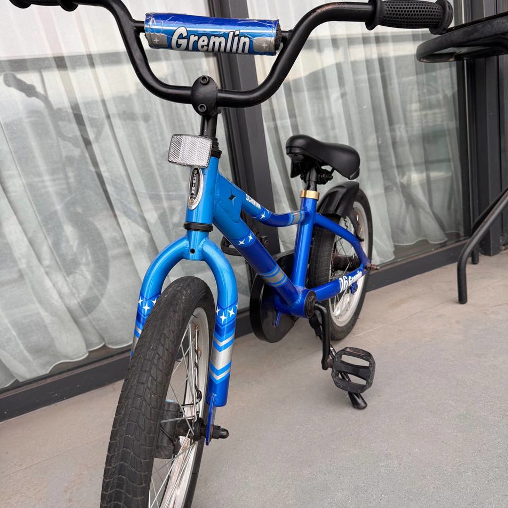 Schwinn Gremlin 16'