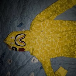 Толстовка BAPE - фото 5