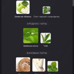 Парфюм Björk and berries Botanist - фото 4