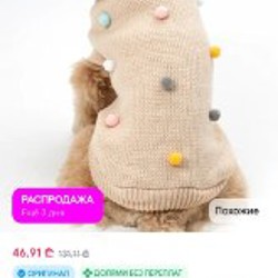 Одежда для пуделя - фото 4