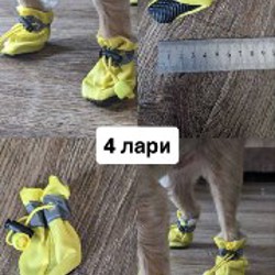 Обувь и носочки для собаки - фото 6