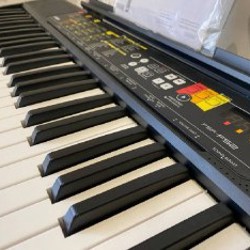 Синтезатор Yamaha PSR-F52 - фото 3
